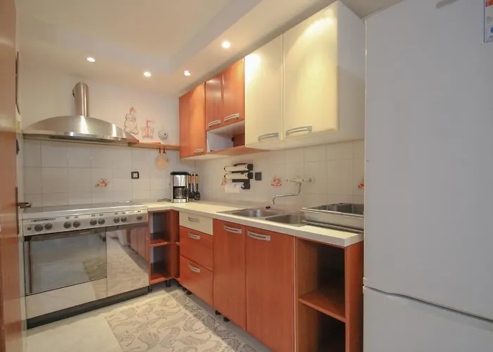 Rafi Two Novigrad Istria